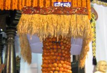 ಕನ್ನಡ ಮನಸುಗಳ ತುಡಿತ ಮುದಗೊಳಿಸಿದ ನುಡಿಸಿರಿಗೆ ಪರದೆ